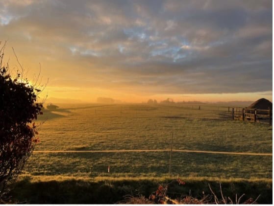 Zonsopkomst vanuit De Grote Lisdodde